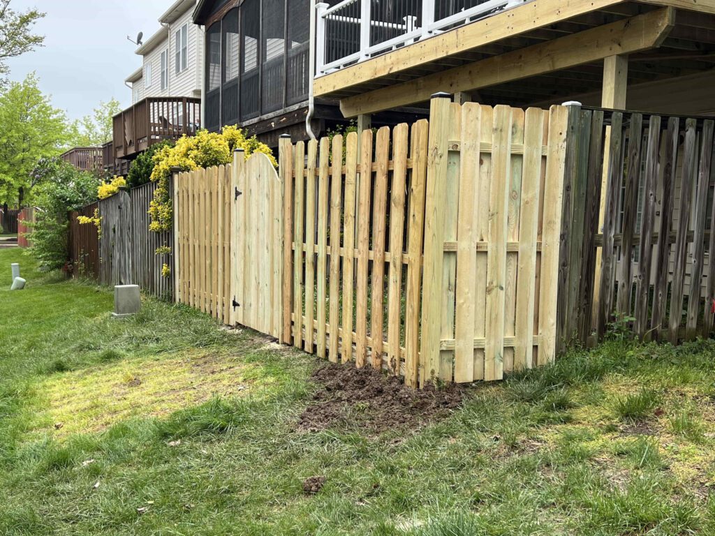 Fence Album